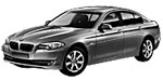 BMW F10 P06AC Fault Code